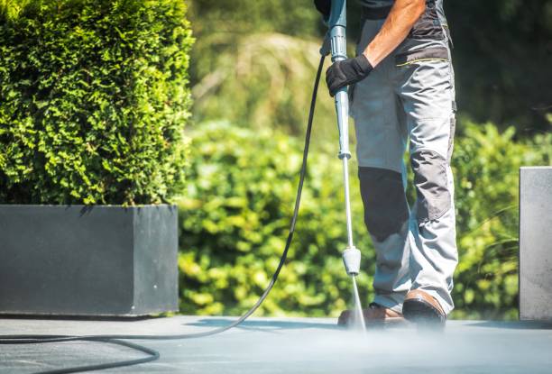 Best Soft Washing for Delicate Surfaces in Redby, MN